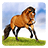 icon Horses Live Wallpaper 7.5