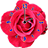 icon Rose Clock 3.0