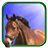 icon Horse Live Wallpaper 7.1