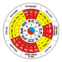 icon Feng Shui Compass