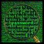 icon Secret_Password pour nubia Prague S