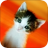 icon Kitten Puzzle 2.3