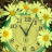 icon flower clock live wallpaper 5.00