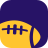 icon Vikings Football 9.1