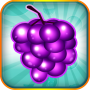 icon Fruit Blitz Free