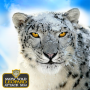 icon Snow Wild Leopard Attack Sim