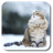 icon Snow Cat 1.2