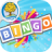 icon Bingo 3.2.2