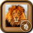 icon Ultimate Slide Puzzles 1.3