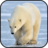 icon Polar Bear Wallpapers 2.0