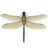 icon Dragonfly 1.25