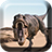 icon Dinosaurs Live Wallpaper 1.13