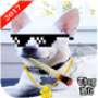 icon Thug Life Photo Maker Editor 2017