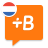icon Dutch 20.65.1
