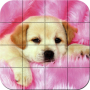 icon PuzzlePuppies