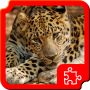 icon Big Cats Puzzles