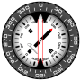 icon Compass PRO pour Vertex Impress Dune