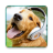 icon com.buzeltpk.ringtone.alarm.sound.dogsounds 1.2-1106