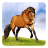 icon Horses Live Wallpaper 9.1