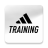 icon Training 6.24