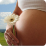 icon ru.fedr.pregnancy