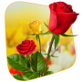 icon 360 Flower live wallpaper 3D