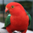 icon Talking Parrot Live Wallpaper 1.6