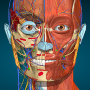 icon Anatomy Learning - 3D Anatomy pour Samsung Galaxy Tab 3 V