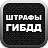 icon ru.gibdd.shtrafy 1.0