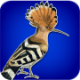 icon هدهد pour Doogee Y6 Max 3D