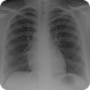 icon Radiology Tutor pour Inoi 6