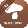 icon iKnow Mushrooms 2 LITE