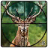 icon Jungle Animals Hunter 2.0