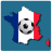 icon Euro 2016 1.9