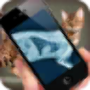 icon Simulation XRay Cat pour LG Stylo 3 Plus