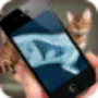 icon Simulation XRay Cat pour blackberry KEY2