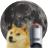 icon DOGEQUEST 0.4.1