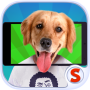 icon Face scanner: What doggie