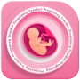 icon Pregnancy