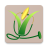 icon Rice Doctor 1.1.2