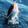 icon Real Fishing Pro 3D