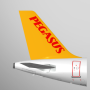 icon Pegasus: Cheap Flight Tickets pour archos 50b Cobalt