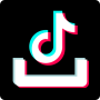 icon Video Downloader for tik tok