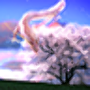 icon Dragon Sakura 