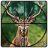 icon Jungle Animals Hunter 2.2