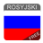 icon Rosyjski 8.0.6