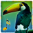 icon Bird Sounds 1.4