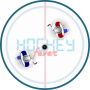 icon Hockey Fever