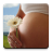 icon ru.fedr.pregnancy 2.4.7