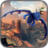 icon Dragon Rider 1.1